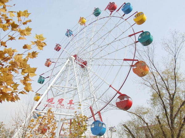 Seattle ferris wheel
