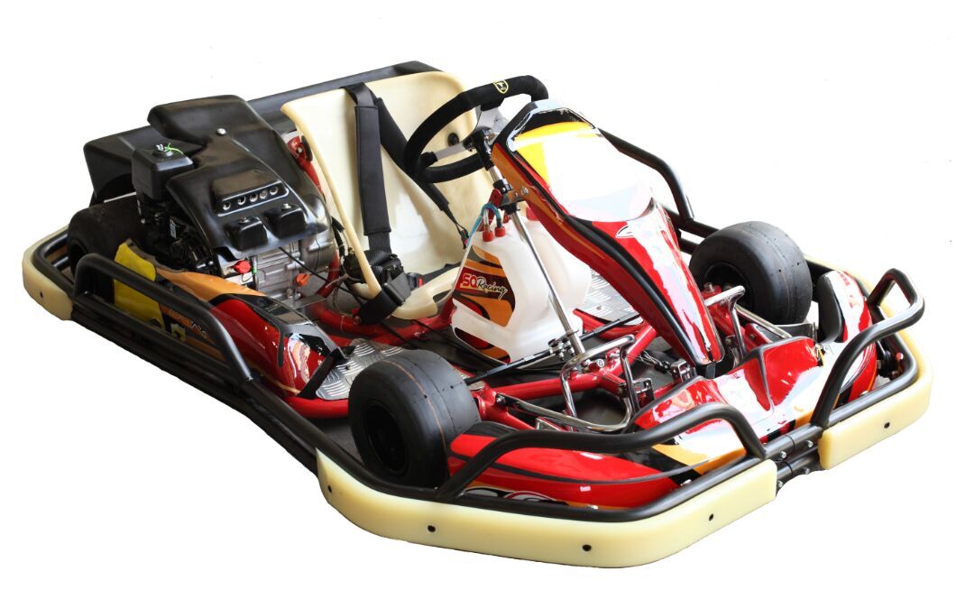 Go kart rent